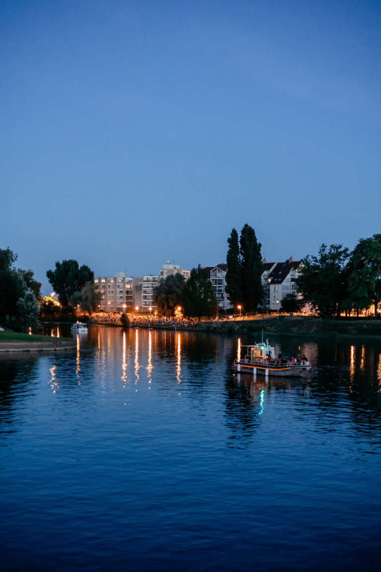 christelle-ferreira-chalon-sur-saone-descente-flambeaux-fau-d-artifice-9069