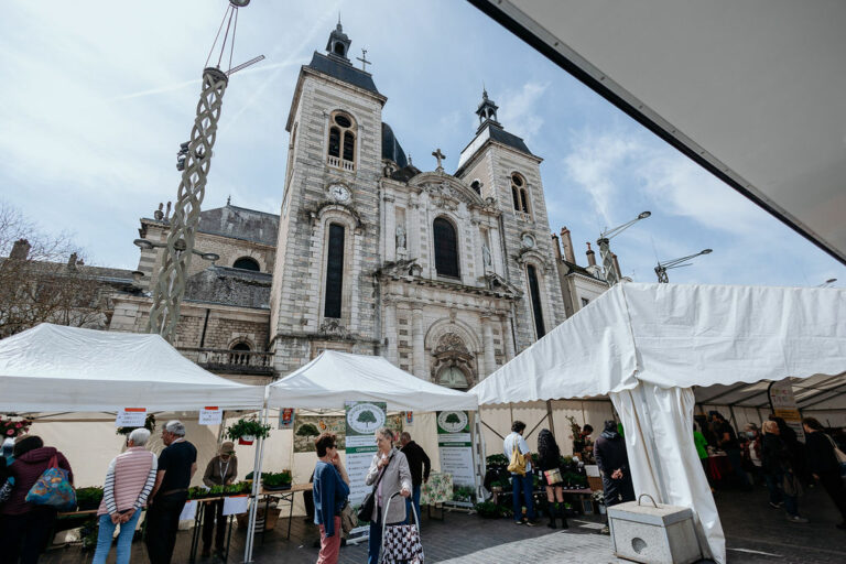 Christelle Ferreira – Chalon Sur Saône – Place aux fleurs